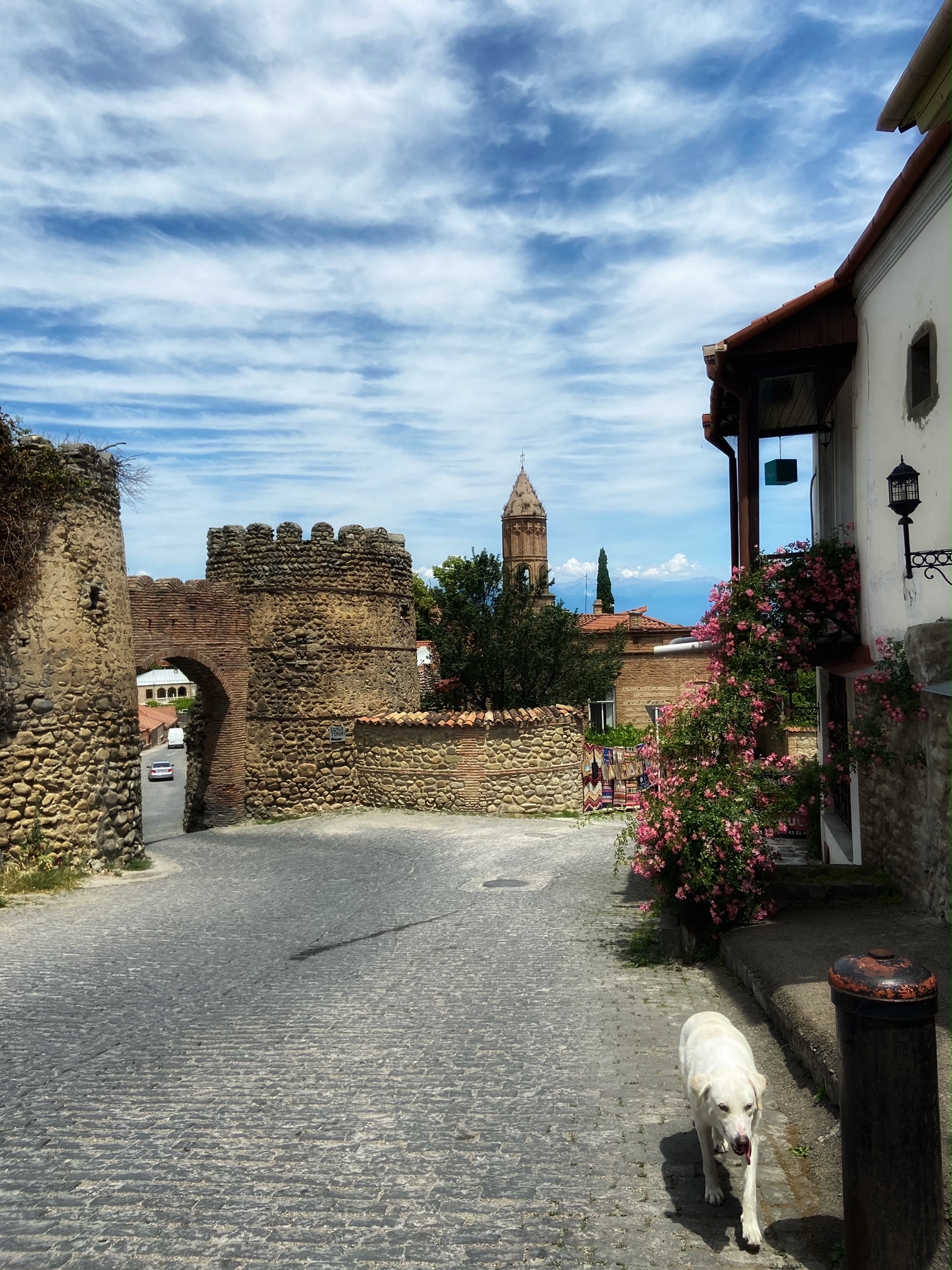 sighnagi, city of love